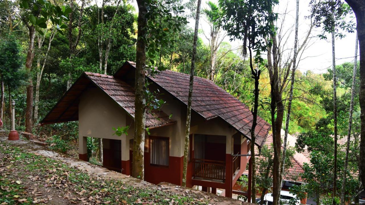 Terrace Resorts Wayanad Eksteriør bilde